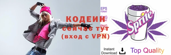 2c-b Надым