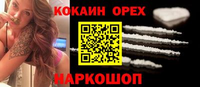 сатива Гатчина
