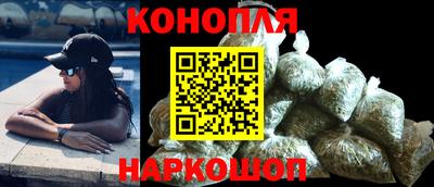 сатива Гатчина