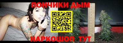 сатива Гатчина