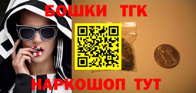 сатива Гатчина