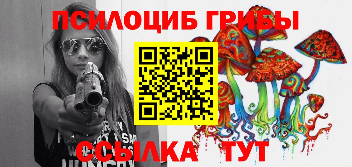 Псилоцибиновые грибы Cubensis  Вход с VPN  Кропоткин  Псилоцибиновые грибы Psilocybine cubensis 